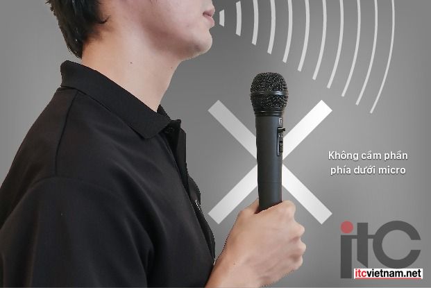 khong-cam-duoi-than-MIC.jpg khong cam duoi than MIC.jpg